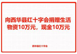 向西華縣紅十字會捐贈生活物資10萬元，現金10萬元